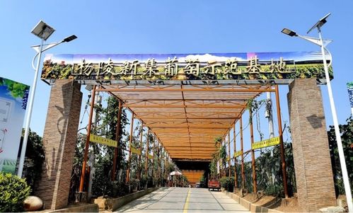 陜西發布21條秋季鄉村休閑旅游精品線路，邀您盡享秋日田園風光